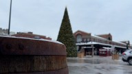 Behold this 15-metre-tall Christmas tree in the ByWard Market