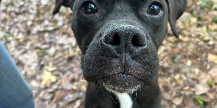 Furry Friday: Snuggle up with us!