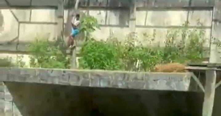 Teen mauled to death by lioness after climbing into zoo enclosure is pictured