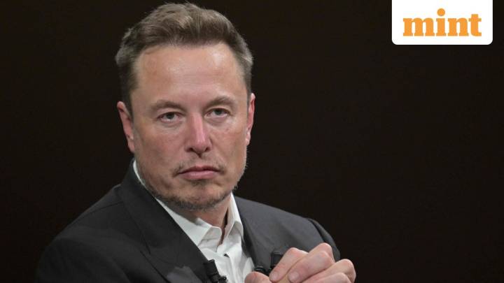 Elon Musk says Trump’s DOGE role set his companies back