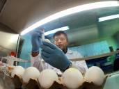 Influenza A H3N2: Minsa activa vigilancia ante flujo de viajeros por fin de año