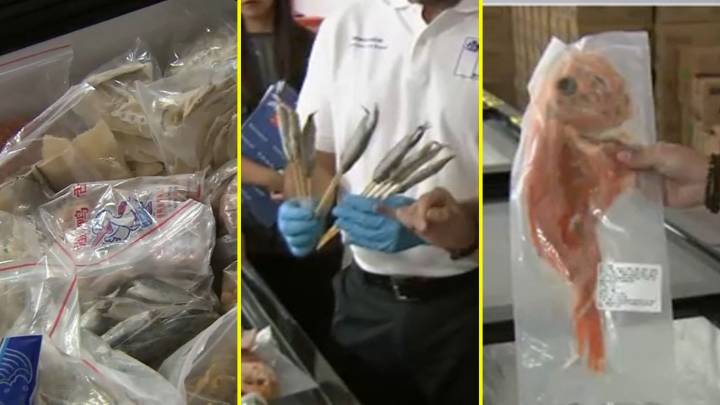 Colas de pescado, patos y hasta brochetas de sardinas sin etiquetado: Fiscalizan local chino reincidente y su administrador escapa