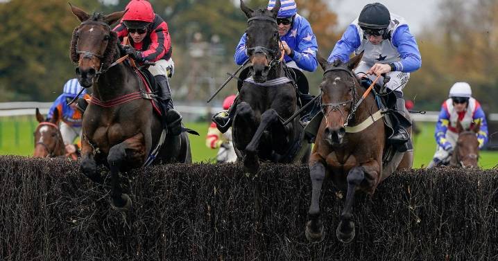 Newsboy’s horseracing tips for Thursday’s four meetings, including Warwick Nap