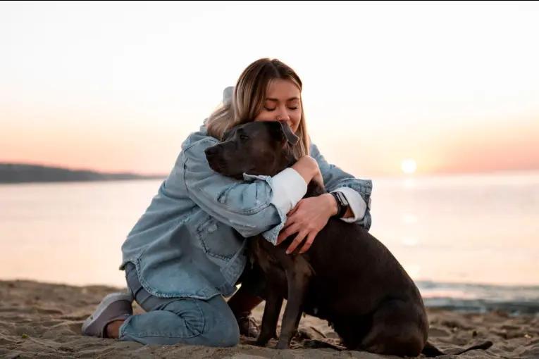 El Crematorio de Mascotas Paraná cumple su primer aniversario