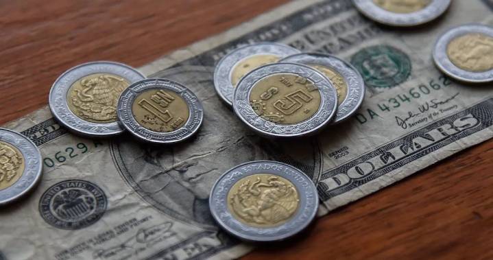 Endurecimiento migratorio de Trump golpea las remesas a Guanajuato: activista