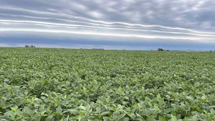 Reformas: el Gobierno tomó propuestas de la SRA