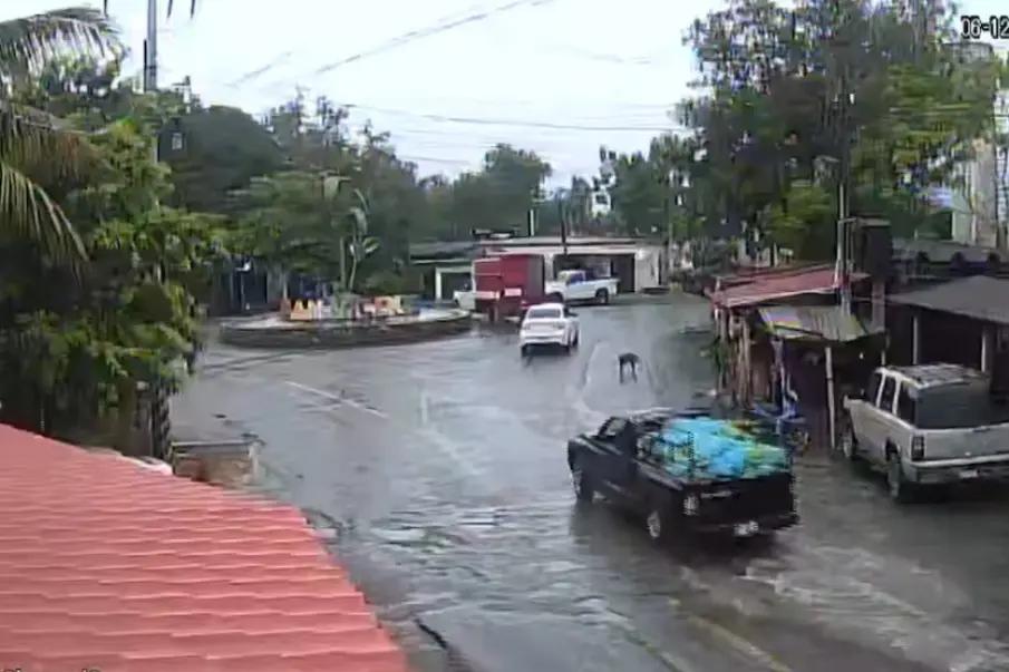 Revelan traslado de explosivos ocultos entre plátanos antes de estallar en Coahuayana