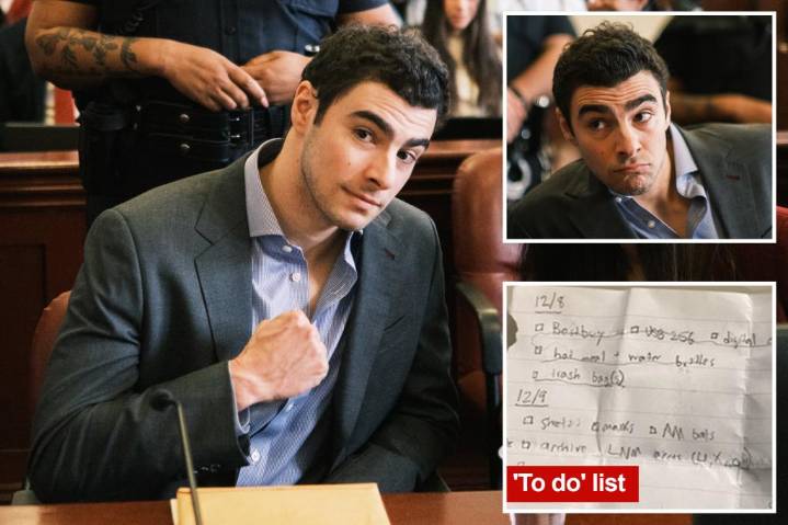 Luigi Mangione flashes fist pump as marathon hearing continues -