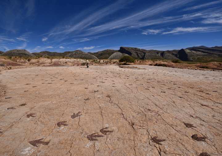 Hallan en Bolivia miles de huellas de dinosaurios que caminaron por lo que hace millones de años fue una costa