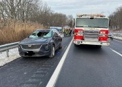 Deer winds up in back seat after car crash