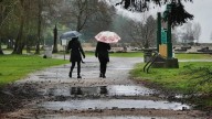 Rainfall, snowfall warnings issued for several B.C. regions