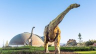 La paleontología mundial está en vilo: el dinosaurio encontrado en Asturias podría ser de una especie desconocida