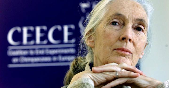 PETA names Jane Goodall ‘person of the year’ for 2025