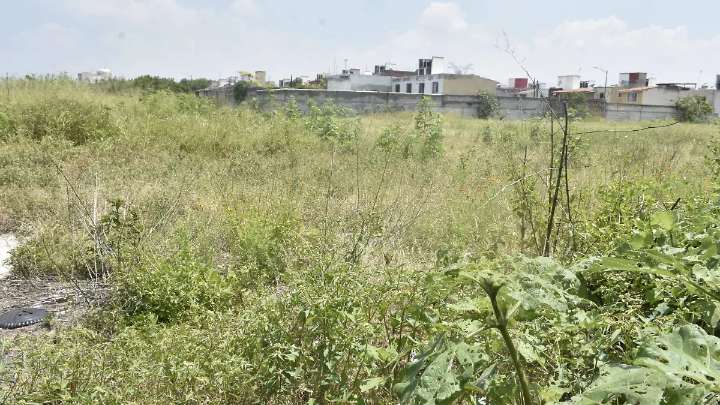 Alcalde acusa a IMUVI de revender terrenos y retraso en escrituras en la Pedro María Anaya, Celaya