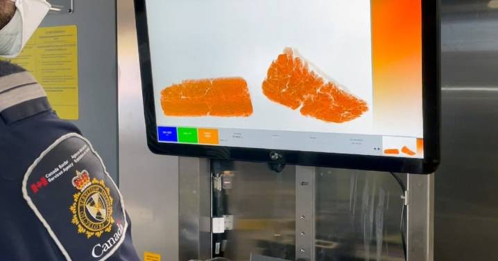 CBSA seizes 209 kg of opium hidden in B.C.