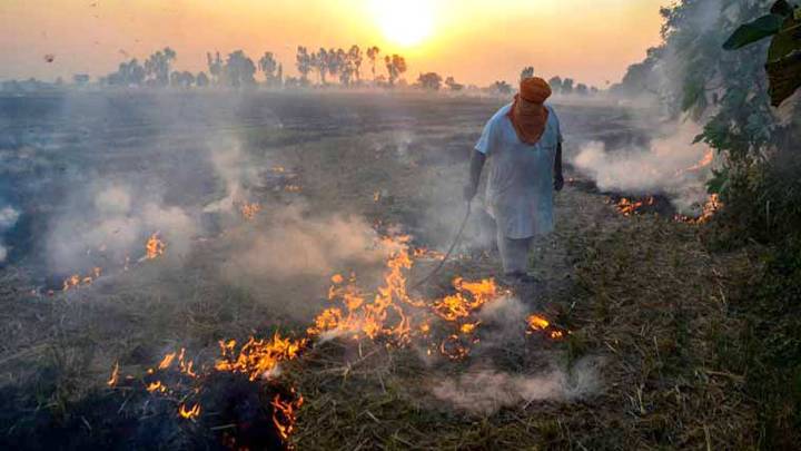 Stubble burning down, but pollution worse in Delhi-NCR; Ghaziabad most polluted in November