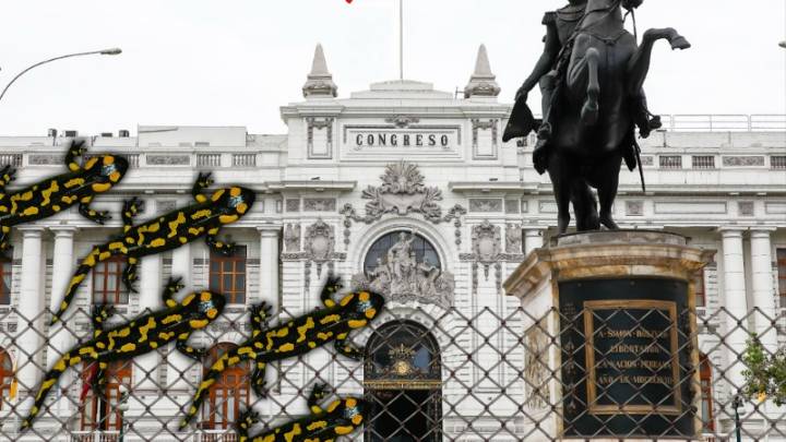 Elige a quien quieras: la valla es tan baja que hasta las sabandijas pasan