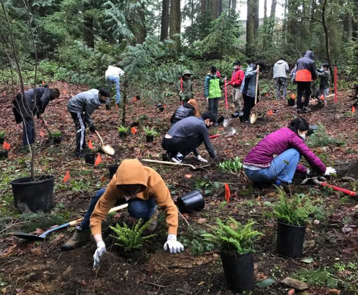 Volunteers invited to monthly stewardship at Scriber Lake Park