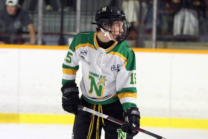 Swanson, Bertolin score two apiece, North Stars edge Lakers