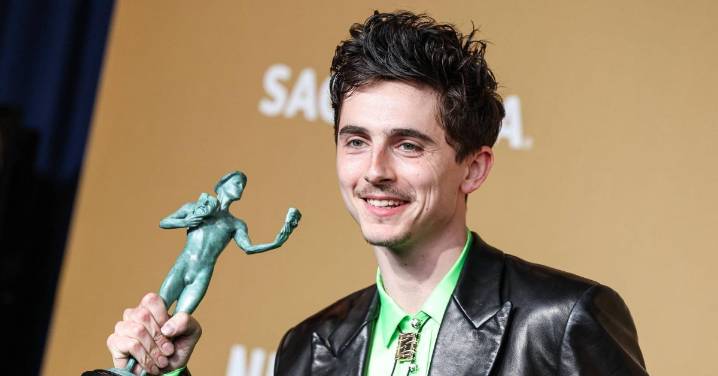 Timothée Chalamet Explains Why He Risked 'Rubbing People the Wrong Way' With Viral SAG Awards Speech: 'You Have to Shout to Get Heard'