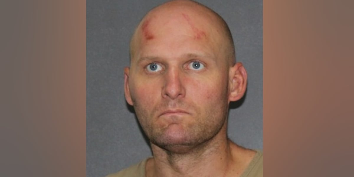 Elkhart father pleads guilty but mentally ill in 2