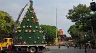 Instalan árbol navideño con identidad morelense en Plaza de Armas, Cuernavaca