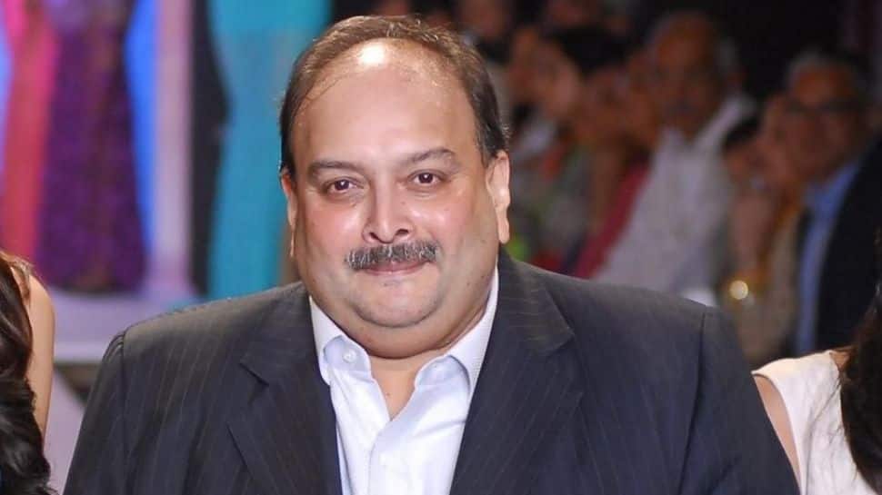 India Inches Closer: Belgium SC Rejects Mehul Choksi's Final Plea; Extradition Process To Begin?