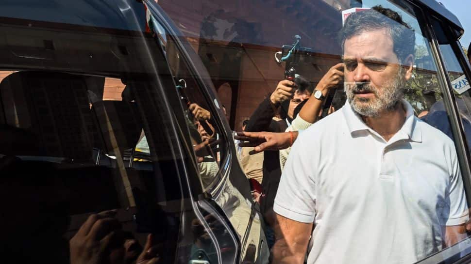 Rahul Gandhi's Serious Allegations Regarding Putin's Visit: Government Not Allowing Opposition To Meet Foreign Delegations