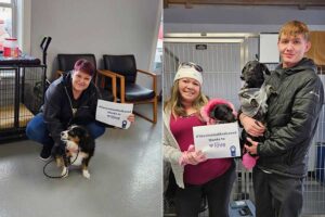 Get your dog or cat vaccinated, microchipped during free clinic this weekend