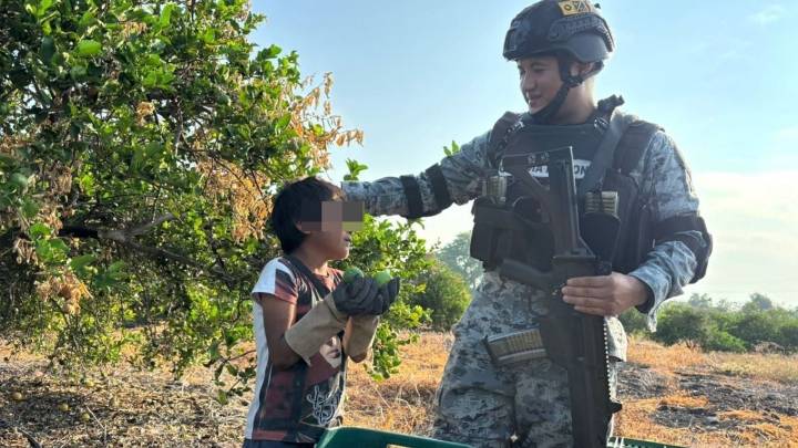 Niños jornaleros trabajan bajo resguardo militar en Apatzingán