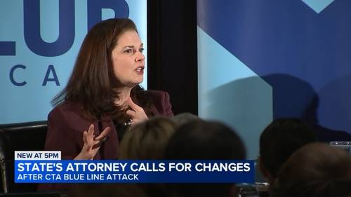 Cook County State's Attorney Eileen O'Neill Burke reflects on 1 year in office, defends handling of CTA Blue Line attack suspect