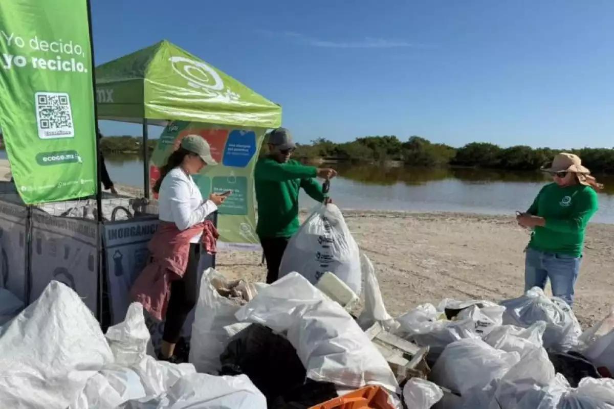 Se recolectaron 33 toneladas de basura en las playas de Yucatán en un año