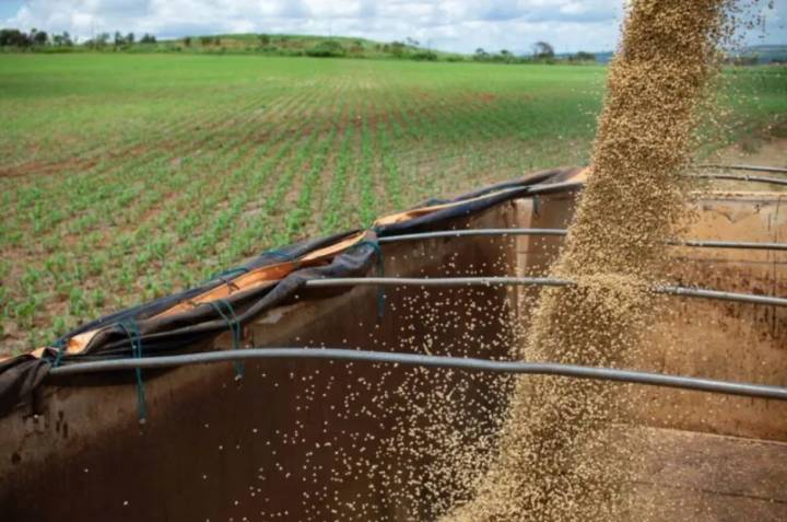 El Gobierno anunció una nueva baja en las retenciones para el campo