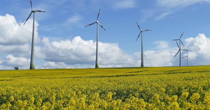 ASG: motor del progreso sostenible en México