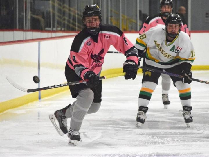 Exeter Hawks get payback in second Thamesford matchup