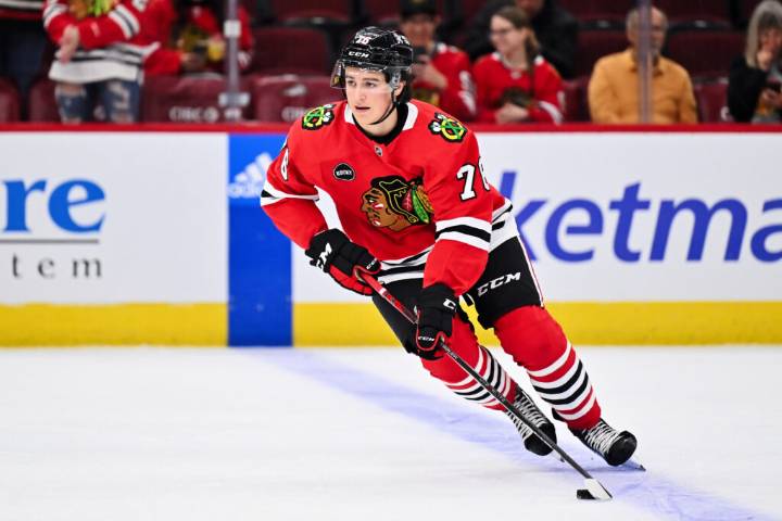 Blackhawks Recall Nick Lardis