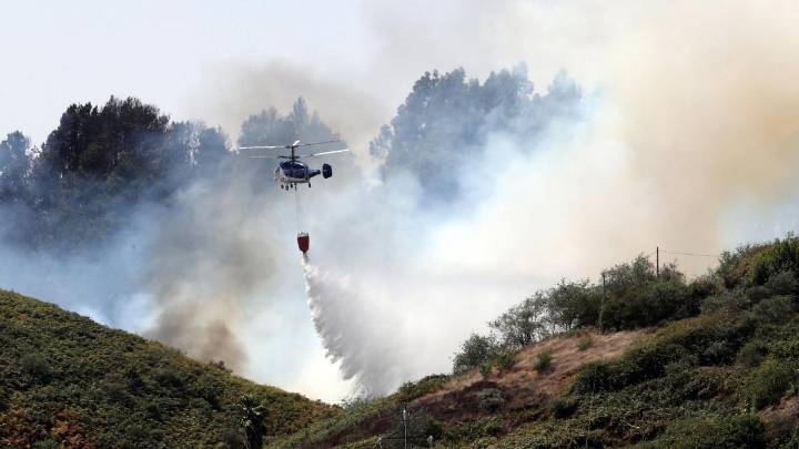 Canarias se protege contra los incendios forestales