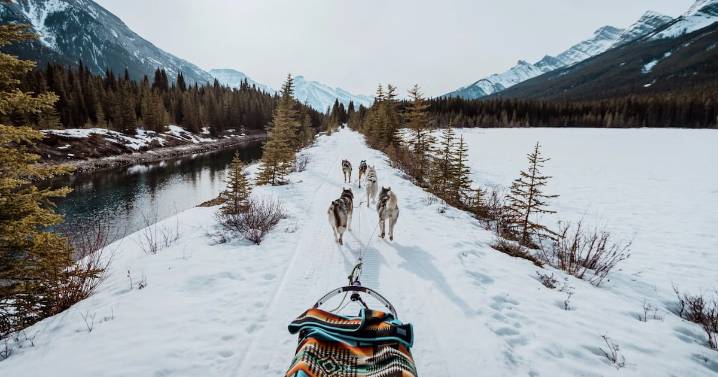 Fun winter travel ideas and activities to do in Alberta