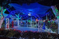 Prendieron las luces navideñas