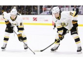 Sarnia Sting's Alessandro Di Iorio, Beckham Edward to prospects game