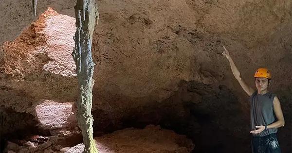 Tren Maya causó daño irreversible