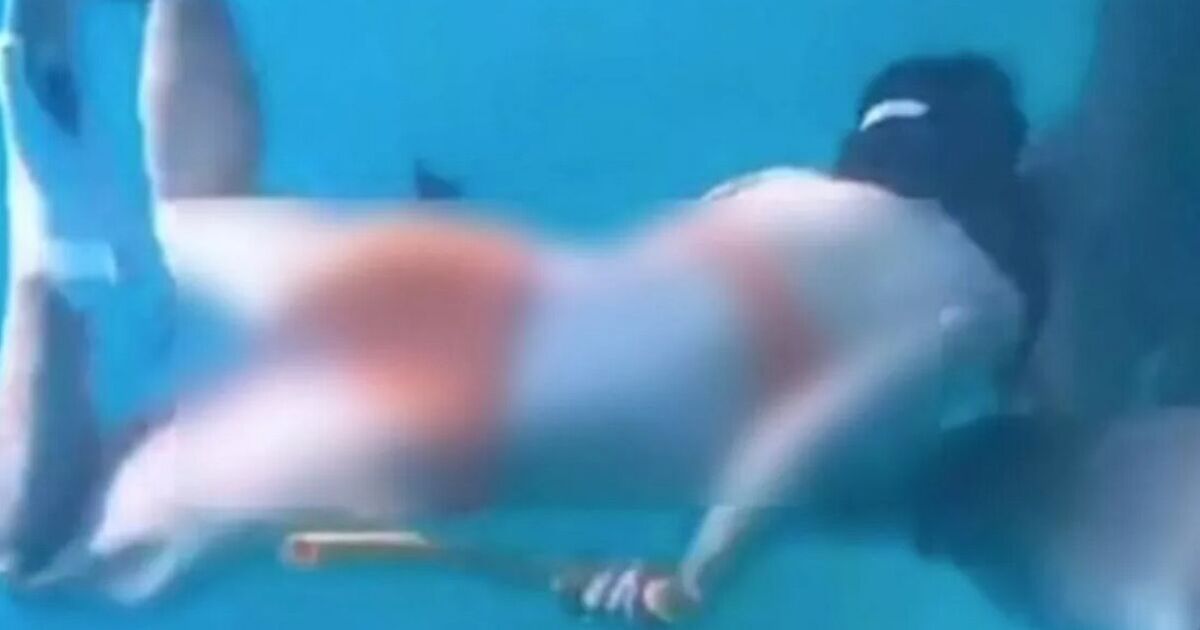 Shark mauls tourist in freak attack after she tried to 'play with it' 