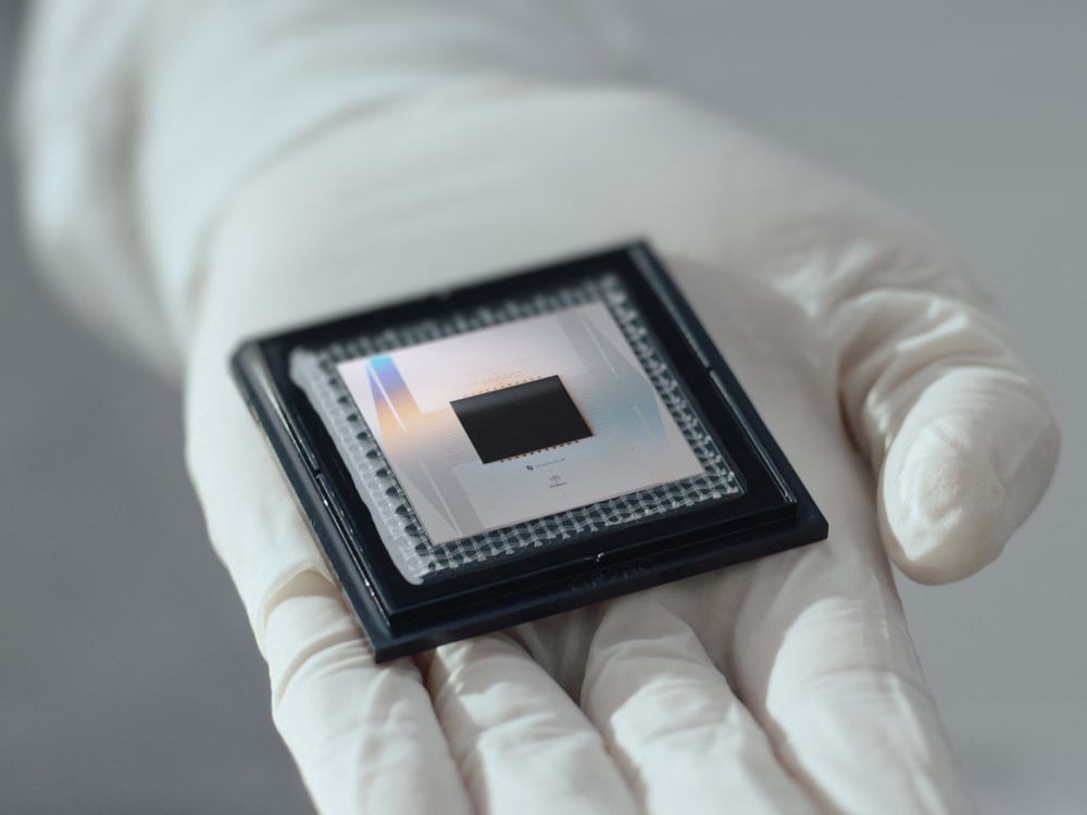 Alphabet’s AI chips are a US$900 billion ‘secret sauce’