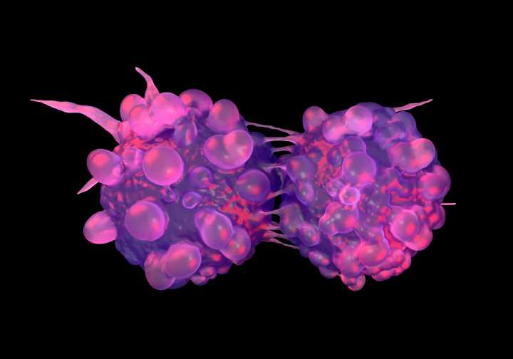 Common Childhood Virus Causes DNA Damage Driving Bladder Cancer