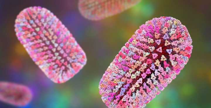 Man Dies of Rabies After Receiving Kidney From Someone Scratched by a Skunk