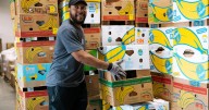 SYC 2025: Volunteers and staff find joy by giving back to Chattanooga Area Food Bank