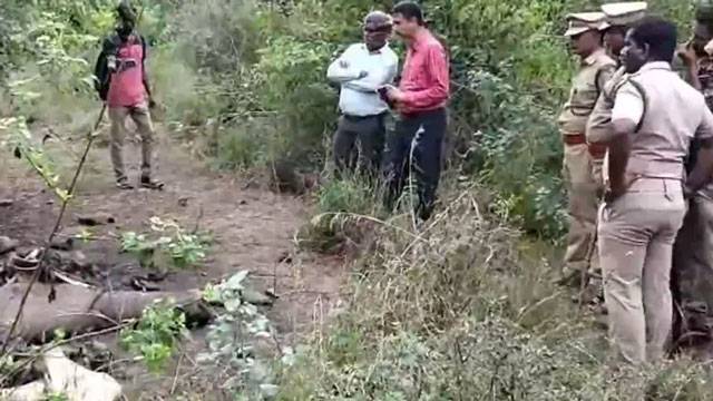Three elephants, including calf, found dead in Vellore; joint probe by TN