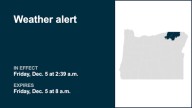 Weather alert affecting Northern Blue Mountains of Oregon and Foothills of the Northern Blue Mountains of Oregon