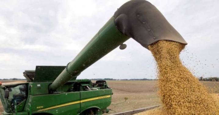 Bolsas de Cereales y Comercio apoyaron la reducción de las retenciones al campo