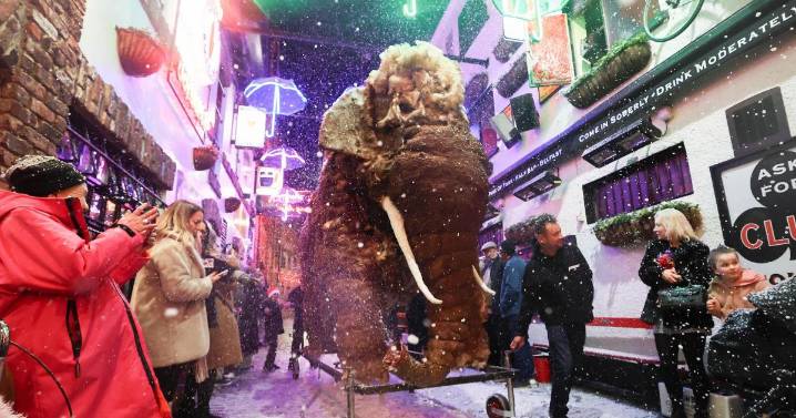 Mammoth festive surprise for revellers in Belfast’s Cathedral Quarter